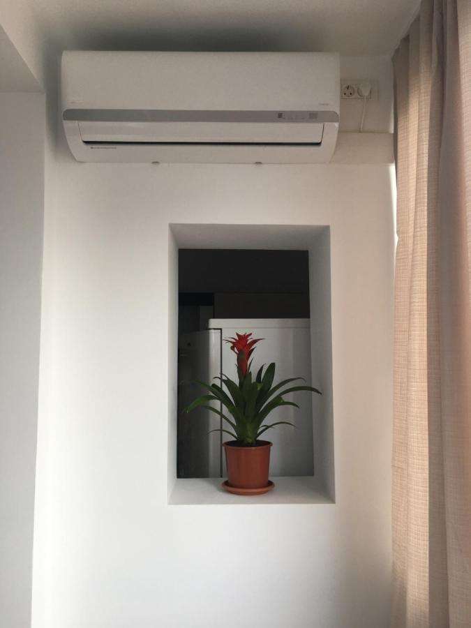 Take Timisoara Apartment Dış mekan fotoğraf